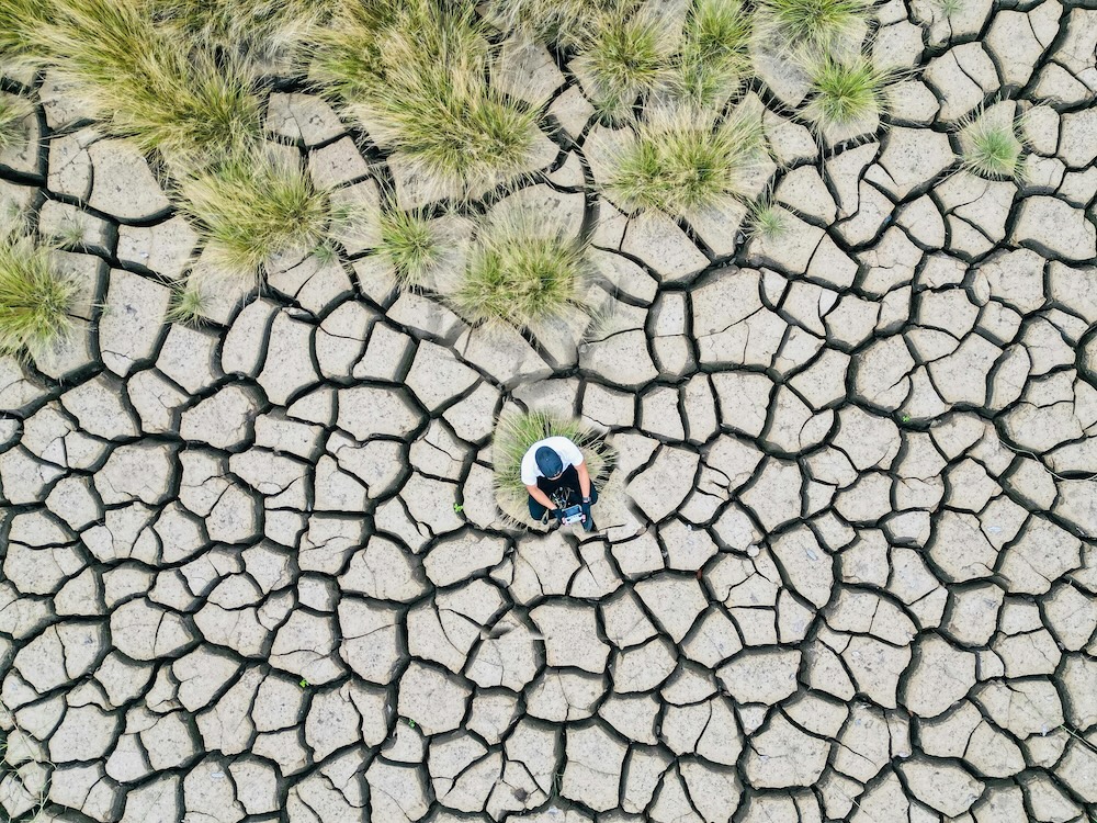 Media talent drought: how agencies are responding
